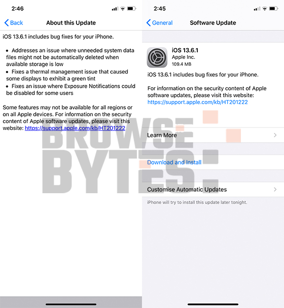 iOS-13.6.1-update-green-tint-issue fix-browsebytes