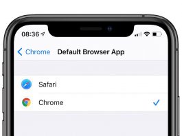 default-browser-app-settings-iphone-ipad-ios14-ipados14